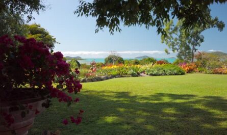 The Beauty of JPG Paradise Garden: A Photo Collection