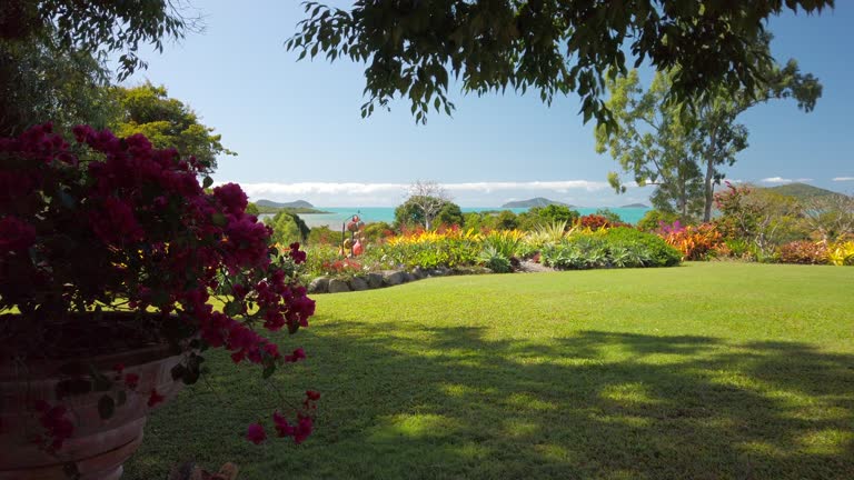 The Beauty of JPG Paradise Garden: A Photo Collection